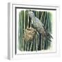 Birds-null-Framed Giclee Print