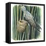 Birds-null-Framed Stretched Canvas