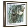 Birds-null-Framed Giclee Print