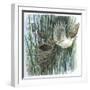 Birds-null-Framed Giclee Print