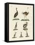 Birds-null-Framed Stretched Canvas