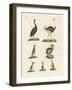 Birds-null-Framed Giclee Print