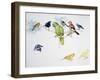 Birds-null-Framed Giclee Print