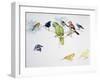 Birds-null-Framed Giclee Print