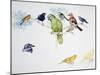 Birds-null-Mounted Giclee Print