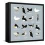 Birds-Hanna Melin-Framed Stretched Canvas