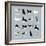 Birds-Hanna Melin-Framed Giclee Print