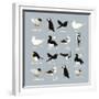 Birds-Hanna Melin-Framed Giclee Print