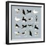 Birds-Hanna Melin-Framed Giclee Print