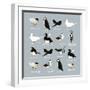 Birds-Hanna Melin-Framed Giclee Print