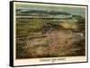 Birdseye View Of Newark, New Jersey 1916-Vintage Lavoie-Framed Stretched Canvas