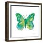 Birdsong Garden Butterfly I on White-Shirley Novak-Framed Art Print
