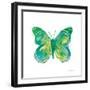 Birdsong Garden Butterfly I on White-Shirley Novak-Framed Art Print