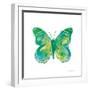 Birdsong Garden Butterfly I on White-Shirley Novak-Framed Art Print