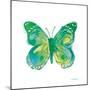 Birdsong Garden Butterfly I on White-Shirley Novak-Mounted Art Print