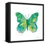 Birdsong Garden Butterfly I on White-Shirley Novak-Framed Stretched Canvas