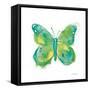 Birdsong Garden Butterfly II on White-Shirley Novak-Framed Stretched Canvas