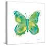 Birdsong Garden Butterfly II on White-Shirley Novak-Stretched Canvas