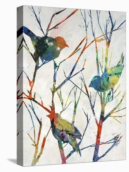 Birdsong Shadows I-Farrell Douglass-Stretched Canvas