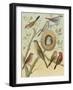 Birdwatcher's Delight I-Cassell-Framed Art Print