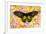 Birdwing Tropical Asian Butterfly on grouping of Golden Dahlias-Darrell Gulin-Framed Photographic Print
