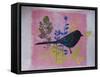 Birdy on pink-Sarah Thompson-Engels-Framed Stretched Canvas