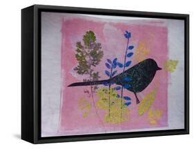 Birdy on pink-Sarah Thompson-Engels-Framed Stretched Canvas