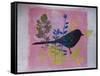 Birdy on pink-Sarah Thompson-Engels-Framed Stretched Canvas