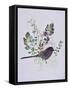 Birdy with leaves-Sarah Thompson-Engels-Framed Stretched Canvas