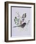 Birdy with leaves-Sarah Thompson-Engels-Framed Giclee Print