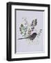 Birdy with leaves-Sarah Thompson-Engels-Framed Giclee Print