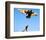 Birdy-null-Framed Photo