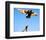 Birdy-null-Framed Photo