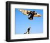 Birdy-null-Framed Photo