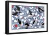 Birdy-Jenny Frean-Framed Giclee Print