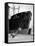 Birkenhead Docks-null-Framed Stretched Canvas