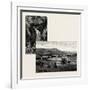 Birks of Aberfeldy (Left); Aberfeldy-null-Framed Giclee Print