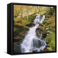 Birks of Aberfeldy, Tayside, Scotland, UK, Europe-Roy Rainford-Framed Stretched Canvas