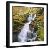 Birks of Aberfeldy, Tayside, Scotland, UK, Europe-Roy Rainford-Framed Premium Photographic Print