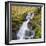 Birks of Aberfeldy, Tayside, Scotland, UK, Europe-Roy Rainford-Framed Premium Photographic Print