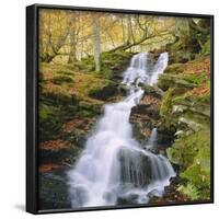 Birks of Aberfeldy, Tayside, Scotland, UK, Europe-Roy Rainford-Framed Photographic Print