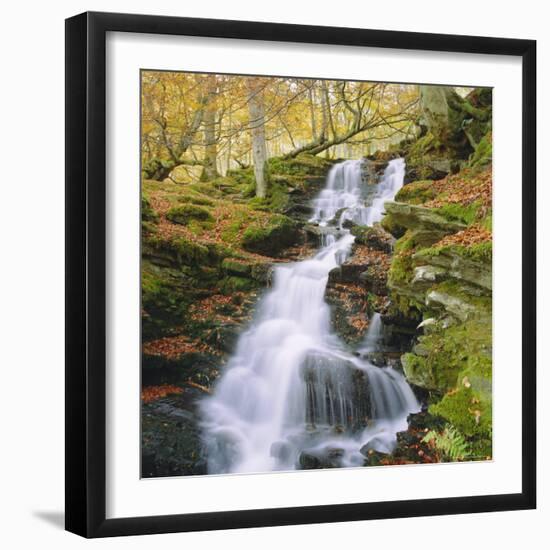 Birks of Aberfeldy, Tayside, Scotland, UK, Europe-Roy Rainford-Framed Photographic Print