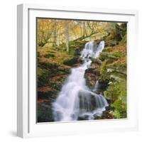 Birks of Aberfeldy, Tayside, Scotland, UK, Europe-Roy Rainford-Framed Photographic Print