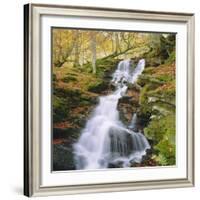 Birks of Aberfeldy, Tayside, Scotland, UK, Europe-Roy Rainford-Framed Photographic Print