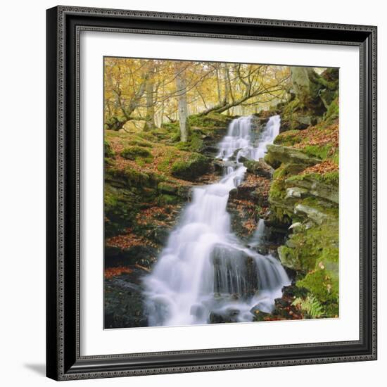 Birks of Aberfeldy, Tayside, Scotland, UK, Europe-Roy Rainford-Framed Photographic Print