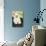 Birman Kitten in Hat-null-Photographic Print displayed on a wall