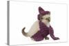 Birman Kitten Wearing Purple Hat and Scarf-null-Stretched Canvas