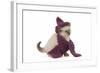 Birman Kitten Wearing Purple Hat and Scarf-null-Framed Photographic Print
