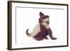 Birman Kitten Wearing Purple Hat and Scarf-null-Framed Photographic Print