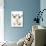 Birman Kittens-null-Photographic Print displayed on a wall